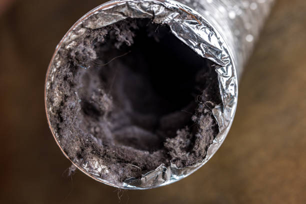 Best Affordable HVAC Duct Cleaning  in Shelley, ID
